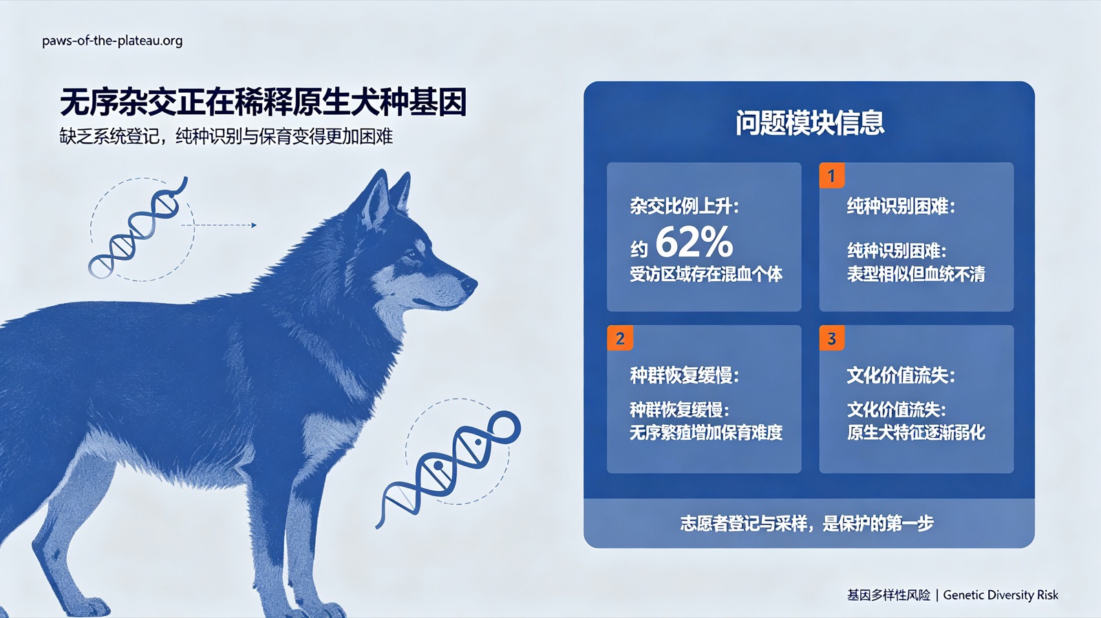 无序杂交正在稀释原生犬种基因：受访区域约62%存在混血个体