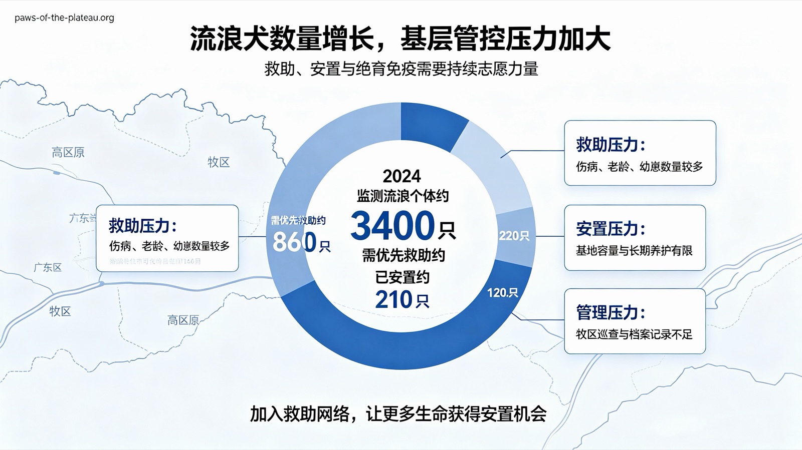 流浪犬数量增长：2024年监测流浪个体约3400只，需优先救助约860只，已安置约210只