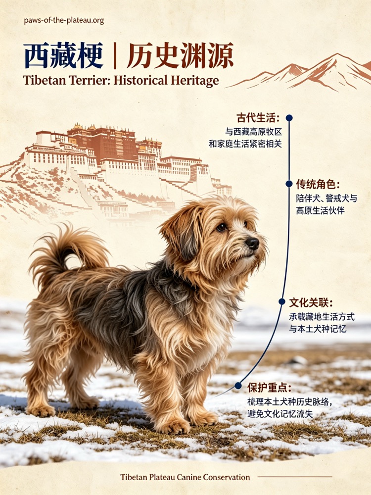 高原犬 Plateau canine